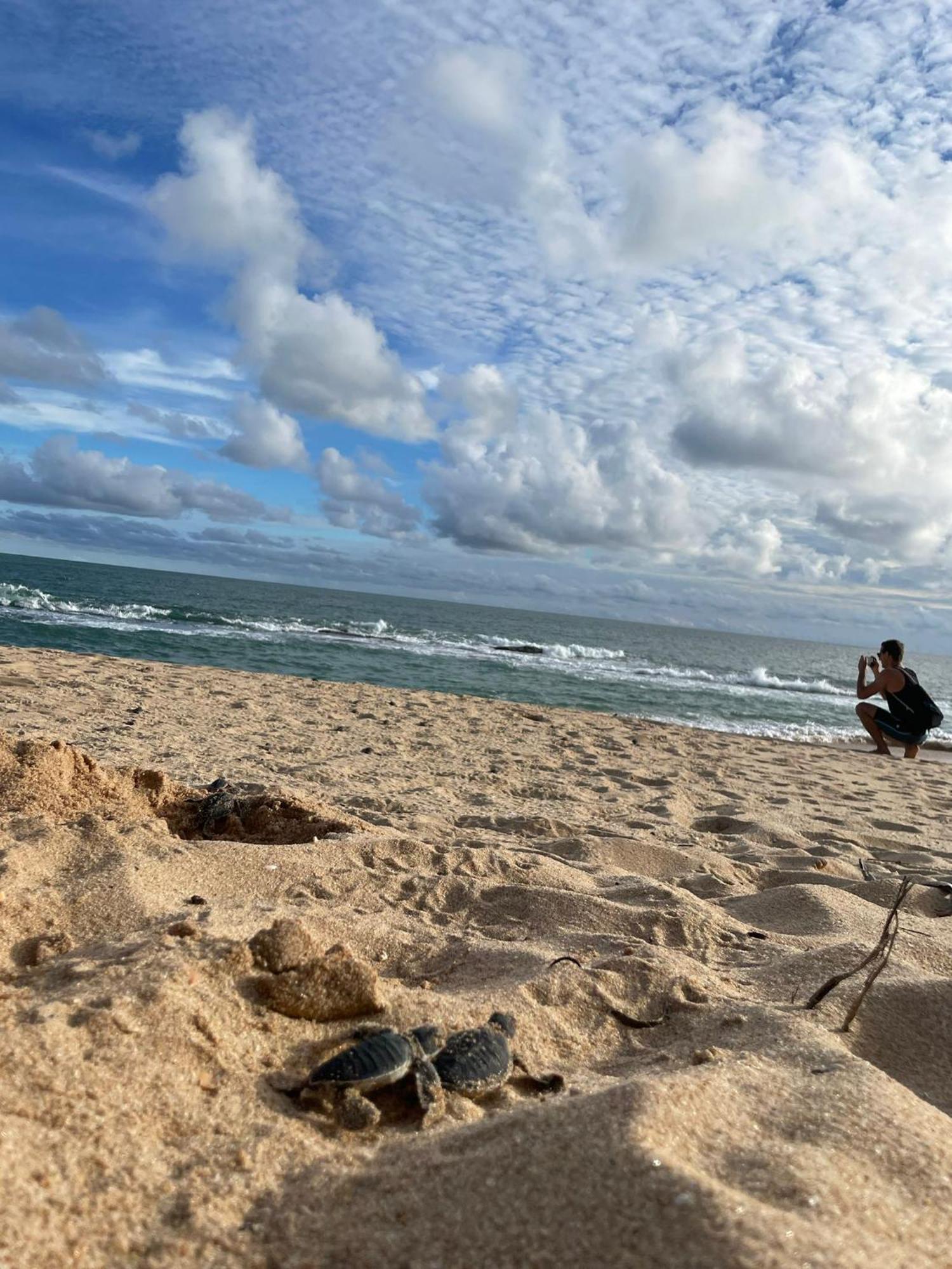 Green Turtle Tangalle Dış mekan fotoğraf